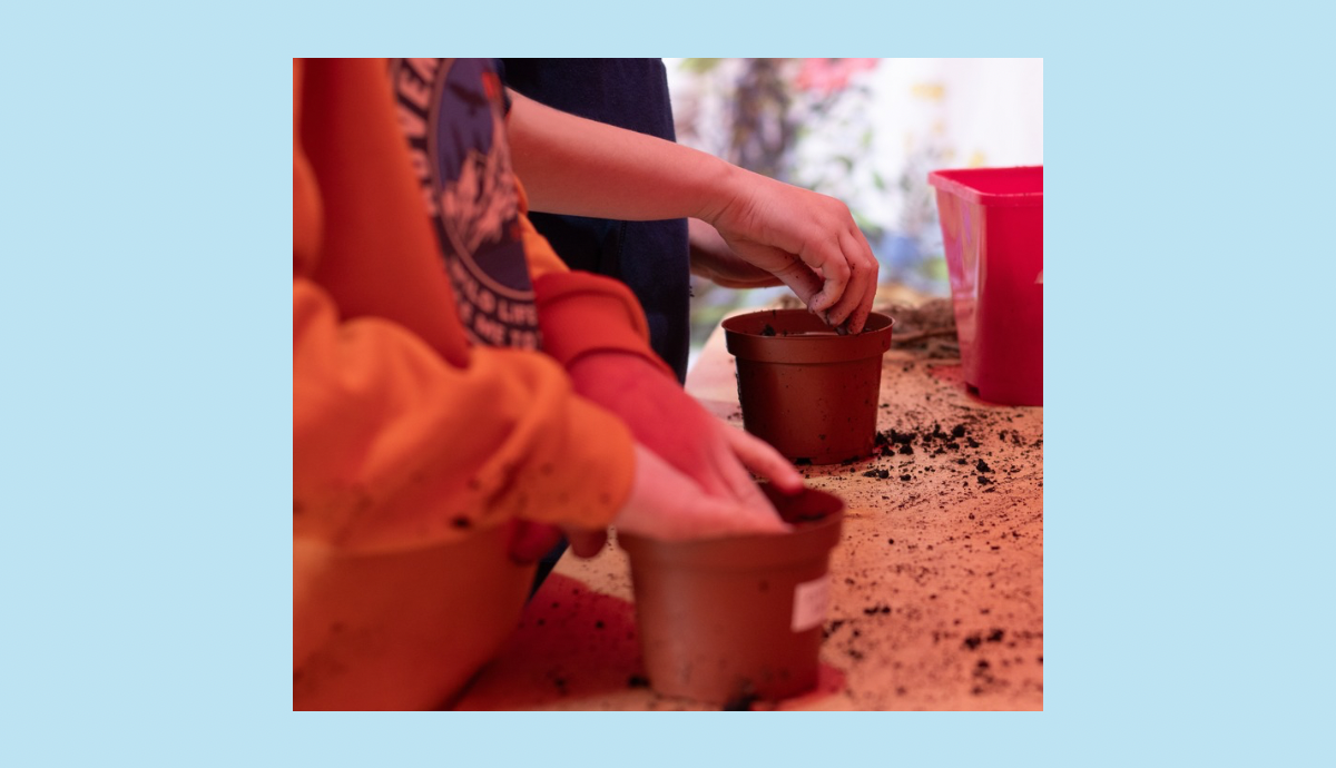 ‘Plant Your Own’ Station